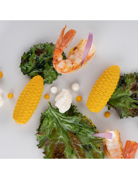 MOLDE NATURAE PANNOCCHIA 20-3