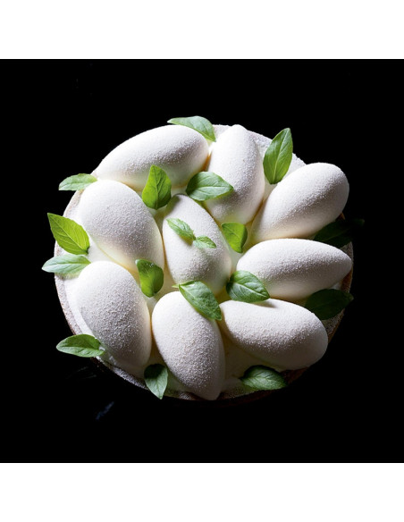 PAVOFLEX PX073 QUENELLE TONDA 34mlPavoflex 60x40