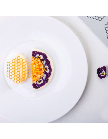 MOLDE GG047 PANAL 300X175Gourmand