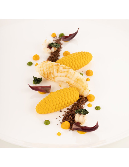 MOLDE NATURAE PANNOCCHIA 20Naturae