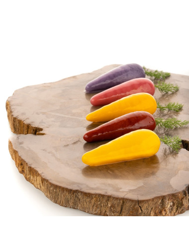 MOLDE NATURAE CAROTA 20Naturae