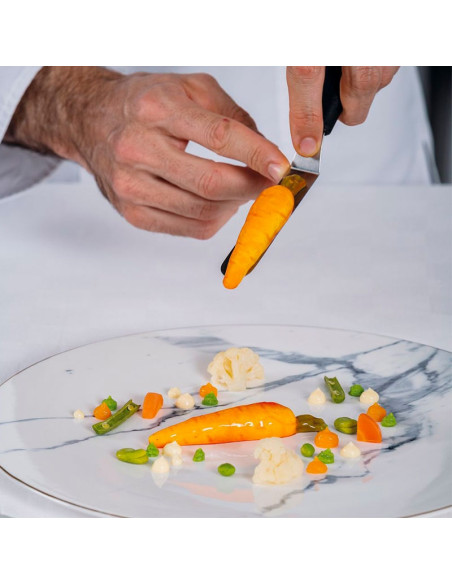 MOLDE GG046 ZANAHORIA 300X175Gourmand