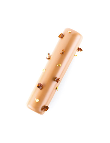 MOLDE ROME 525 230x55xh50mm - 525mlTPlus