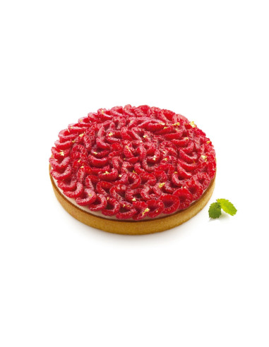 TARTE RING ROUND D210 (1 anillo)Tarte Ring
