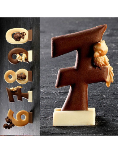 MOLDE DS5017 NÚMERO 7 PAPAGAYO DECOSIL