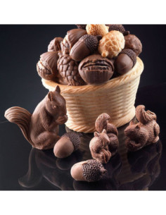 M. DS4009 ARDILLA GRANDE 2p. DECOSIL 2