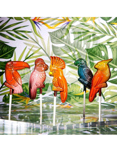 MOLDE CW1954 PIRULETAS PAJAROS TROPICALES 5modPiruletas