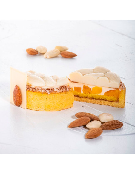 MOLDE TOP22 MINI ALMENDRASCake Decor