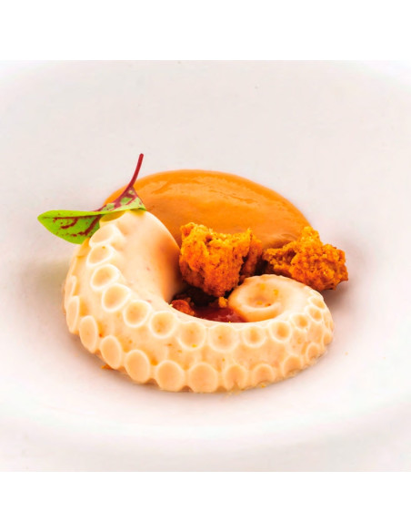 MOLDE NATURAE POLPO 20Naturae