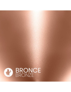 AIR SPRAY BRONCE 10G CON BOMBA DE AIRE 2