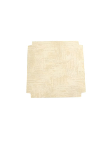 FONDO 80X80 PK(10u) TELA NEUTRO REALZADOEstuches Transparentes