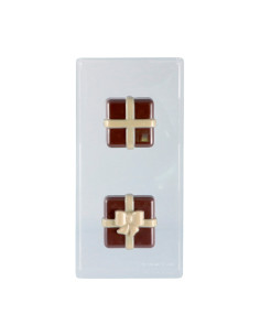 MOLDE PVC REGALO (2u) 20PR01 80x80x69mmTermoformado 2