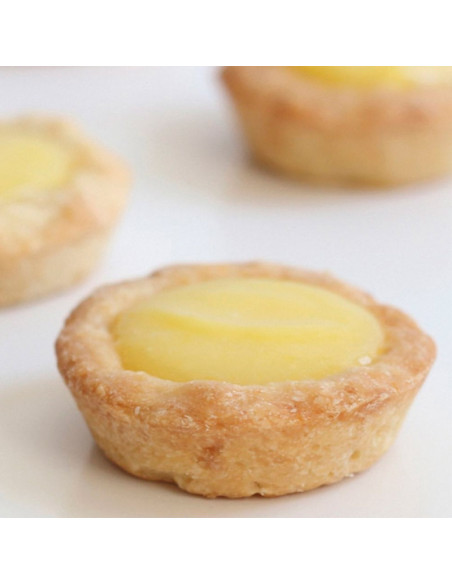 PAVOFLEX PX301 60p MINI TARTALETA D46xH36mm 21mlPavoflex 60x40