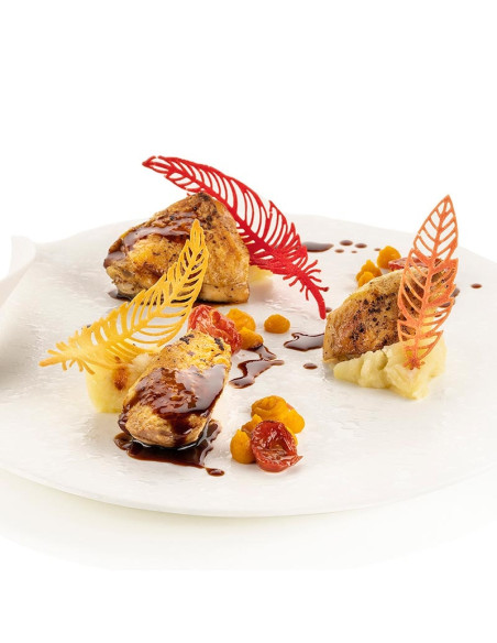 MOLDE NATURAE PIUMANaturae