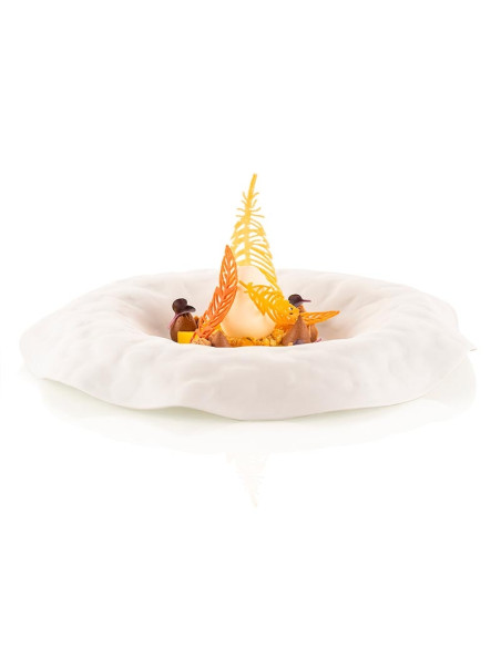 MOLDE NATURAE PIUMANaturae