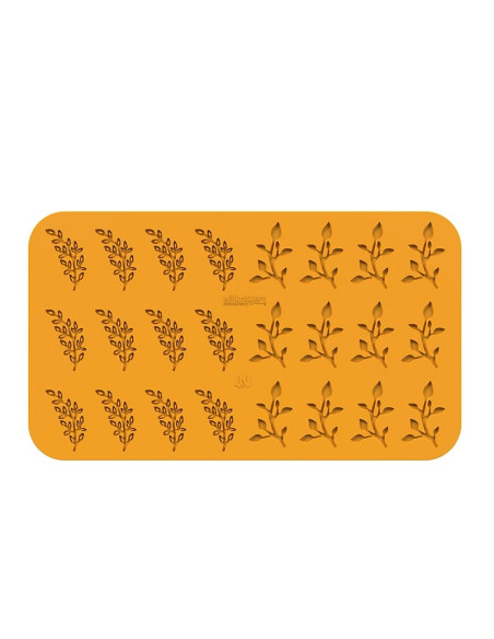 MOLDE NATURAE EDENNaturae