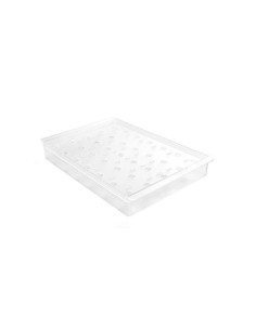 ESPOGEL UP MINI TRANSLÚCIDO 235x360x48mmGelato 2