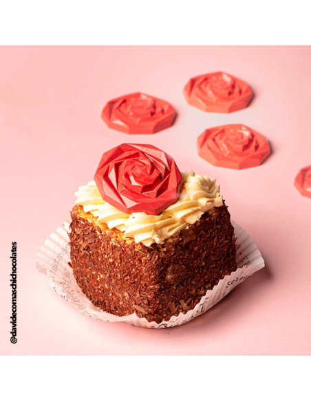 Molde bombones CF0246 Rosa Davide Comaschi 10 cSant Jordi