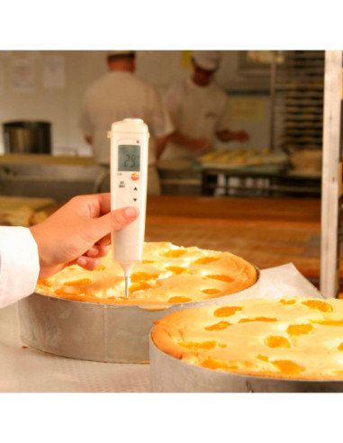 TESTO 106 TERMÓMETRO ALIMENTACIÓN-1