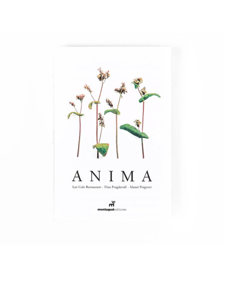 ANIMA, FINA PUIGDEVALLLibros