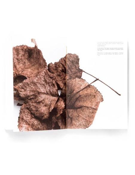 ANIMA, FINA PUIGDEVALLLibros