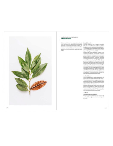 EL LIBRO VERDELibros