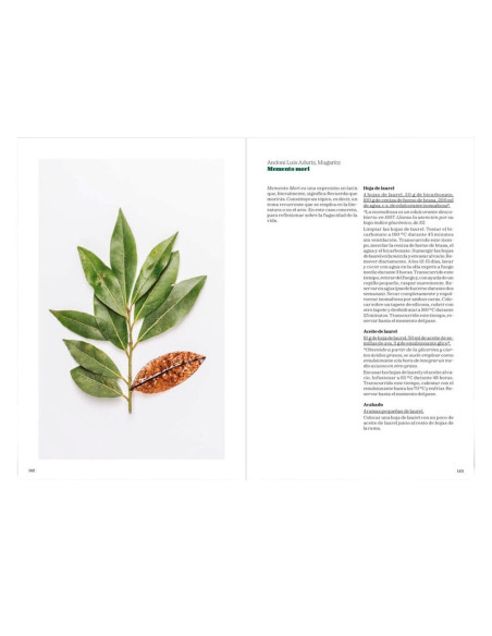 EL LIBRO VERDELibros