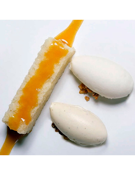 LIBRO LOS SECRETOS DEL HELADO de Angelo CorvittoLibros