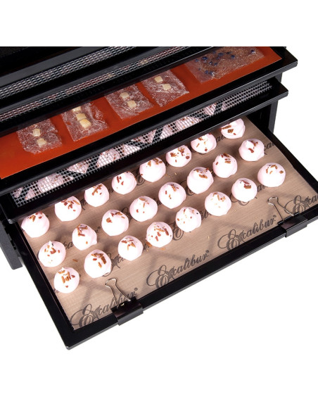 DESHIDRATADOR EXCALIBUR 4926T (9g)Inicio