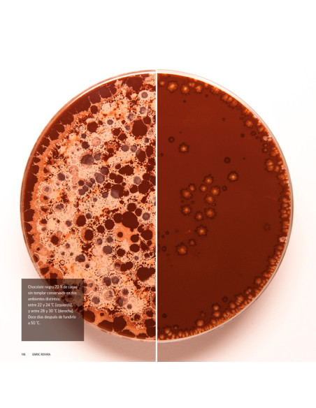 LIBRO CHOCOLATE, PASIÓN Y CIENCIA, DE ENRIC ROVIRABiblioteca