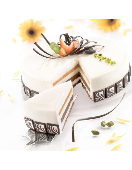 M. REDONDO 1ud de 240x50mm TOR240 H50/1 2253mlInicio