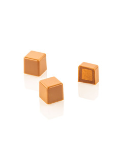 Kit Cubo 01 molde tritan + silicona