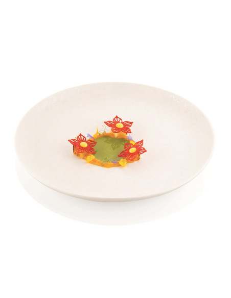 MOLDE NATURAE BOTANICANaturae