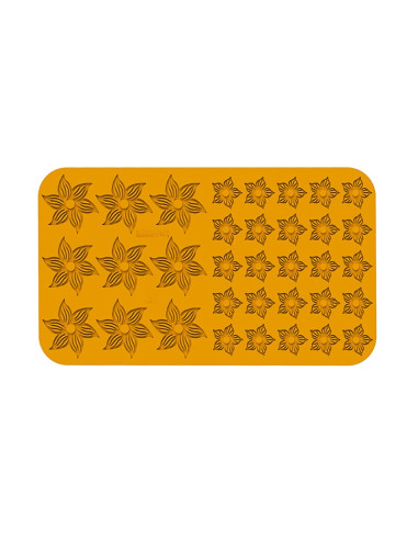 MOLDE NATURAE BOTANICANaturae