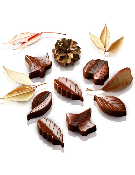 MOLDE BOMBÓN SCG10 NATUREEasy Choc