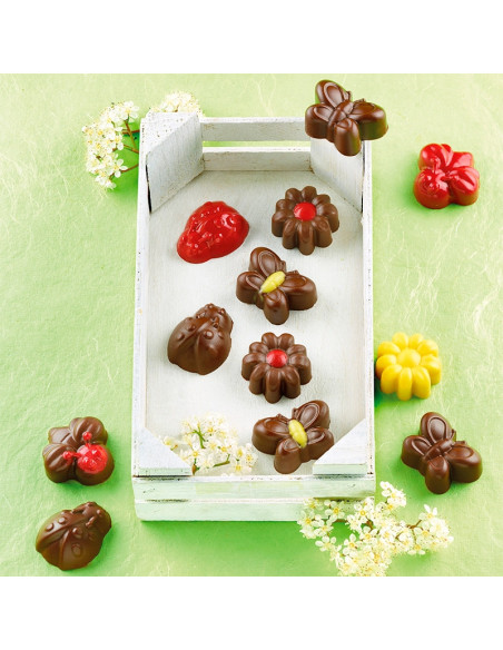 MOLDE BOMBÓN SCG024 CHOCO SPRINGLIFEEasy Choc