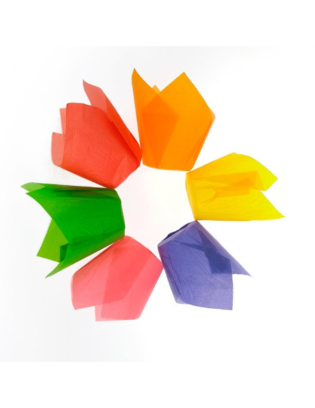 MOLDE 110/35 6 COLORES TULICUP H55 CAJA (300 UDS.)Tulipas
