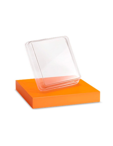 TAPA PET MOLDE 162x162mm PK (50u)Envases PET