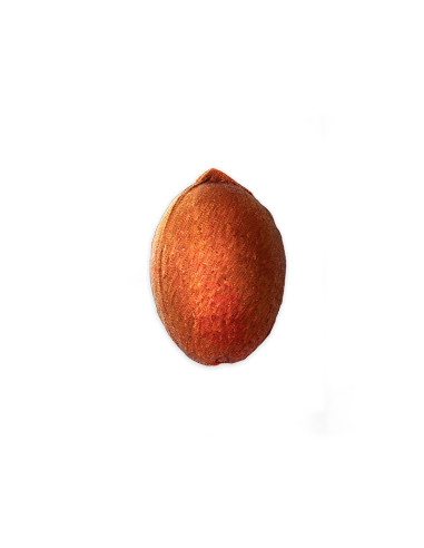 MOLDE PVC ARMD905 COCO 77x110x80 mm (2c)