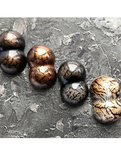 Molde Tritan Bolla-P - 40x25xh14mm 2
