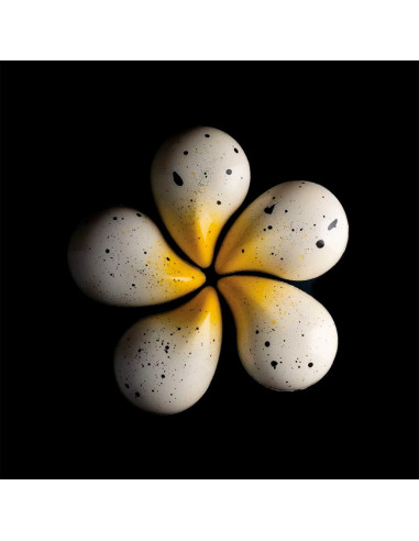 Molde Tritan Goccia-P - 29x41xh14mmTritan Molde Tritan Goccia-P - 29x41xh14mmTritan