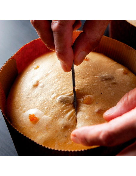 LIBRO REMEMBER 28ºC, por Jose RomeroBiblioteca