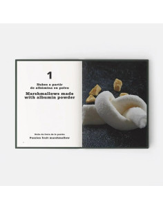 LIBRO EVOLUTION, POR JORDI PUIGVERTBiblioteca 2