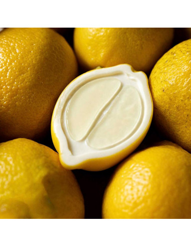 MOLDE GG070 HALF LEMON By Davide OldaniGourmand