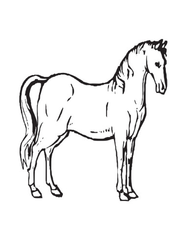 M. PVC AR2179 CABALLO 200x170x50mm (4P) 