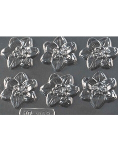 MOLDE PVC ARHO059 FLOR D47x43mm (6c)Flores