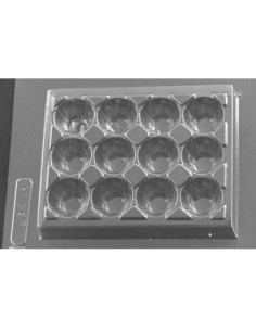 MOLDE PVC HUEVERA CODORNIZ 130x105x20mmPvc Accesorios