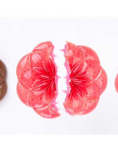 MOLDE 21MA2030 LIFE FLOWER D109x12,5mm 90g 2cTabletas