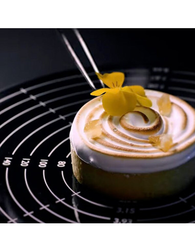 SPINNER SOPORTE GIRATORIO ELÉCTRICOPlatos Giratorios