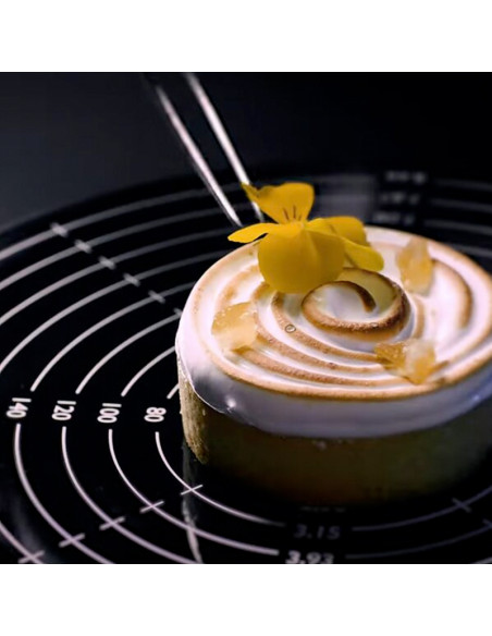 SPINNER SOPORTE GIRATORIO ELÉCTRICOPlatos Giratorios